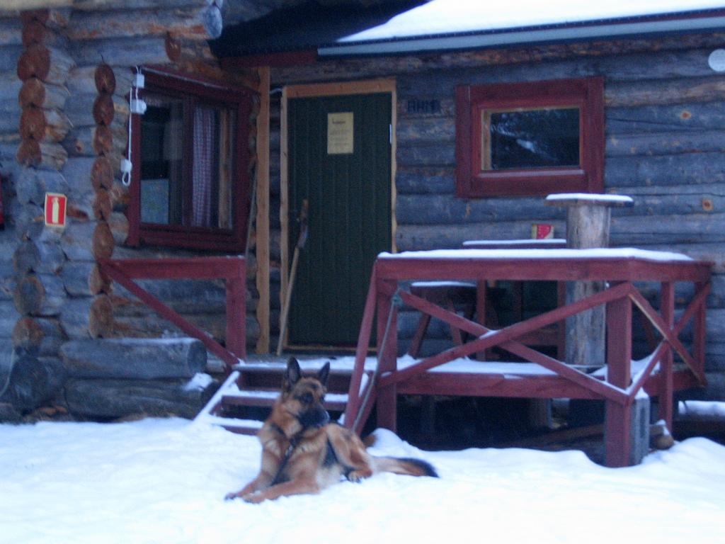 Ahkun Tupa Villa Lemmenjoki Bagian luar foto